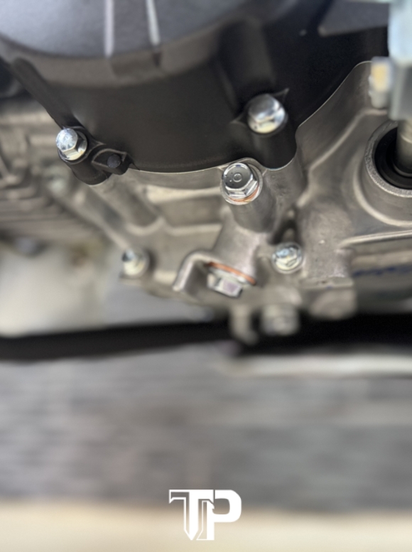 Honda Future 125 Trắng Đen 2026 New 